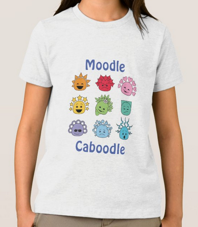 Moodle Caboodle